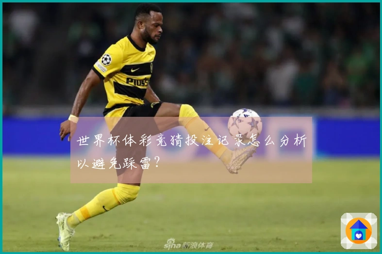 世界杯体彩竞猜投注记录怎么分析以避免踩雷？