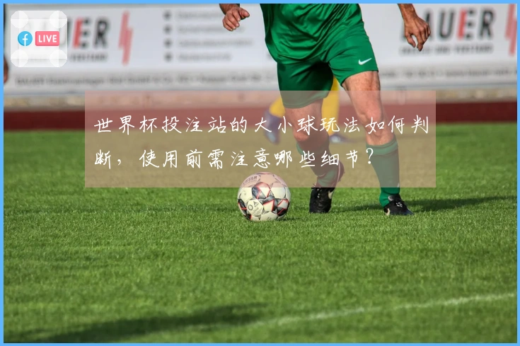 世界杯投注站的大小球玩法如何判断，使用前需注意哪些细节？
